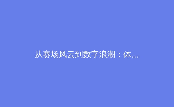 从赛场风云到数字浪潮：体育产业的变革与未来价值 - 4